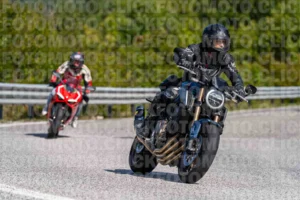 FotoMoto.Click  | La Tua Moto, la Nostra Foto fotomotoclick-bocca-serriola-07-09-2025-492-11-08