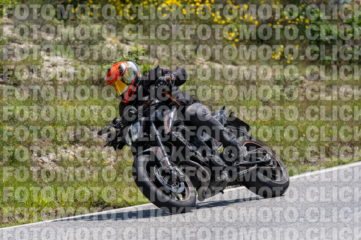fotomotoclick-bocca-serriola-14-06-2026-1981-12-31