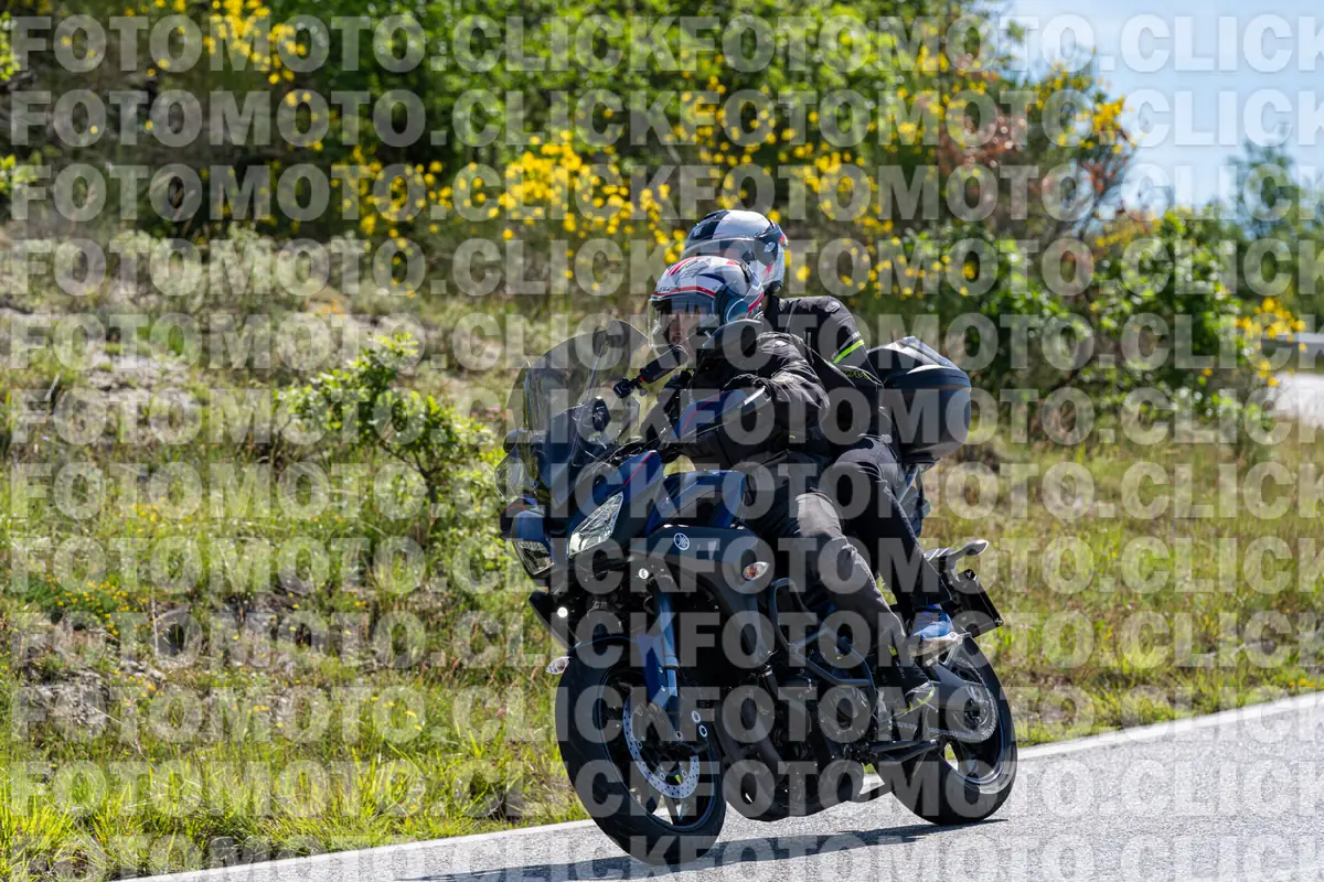 fotomotoclick-bocca-serriola-14-06-2026-303-10-23