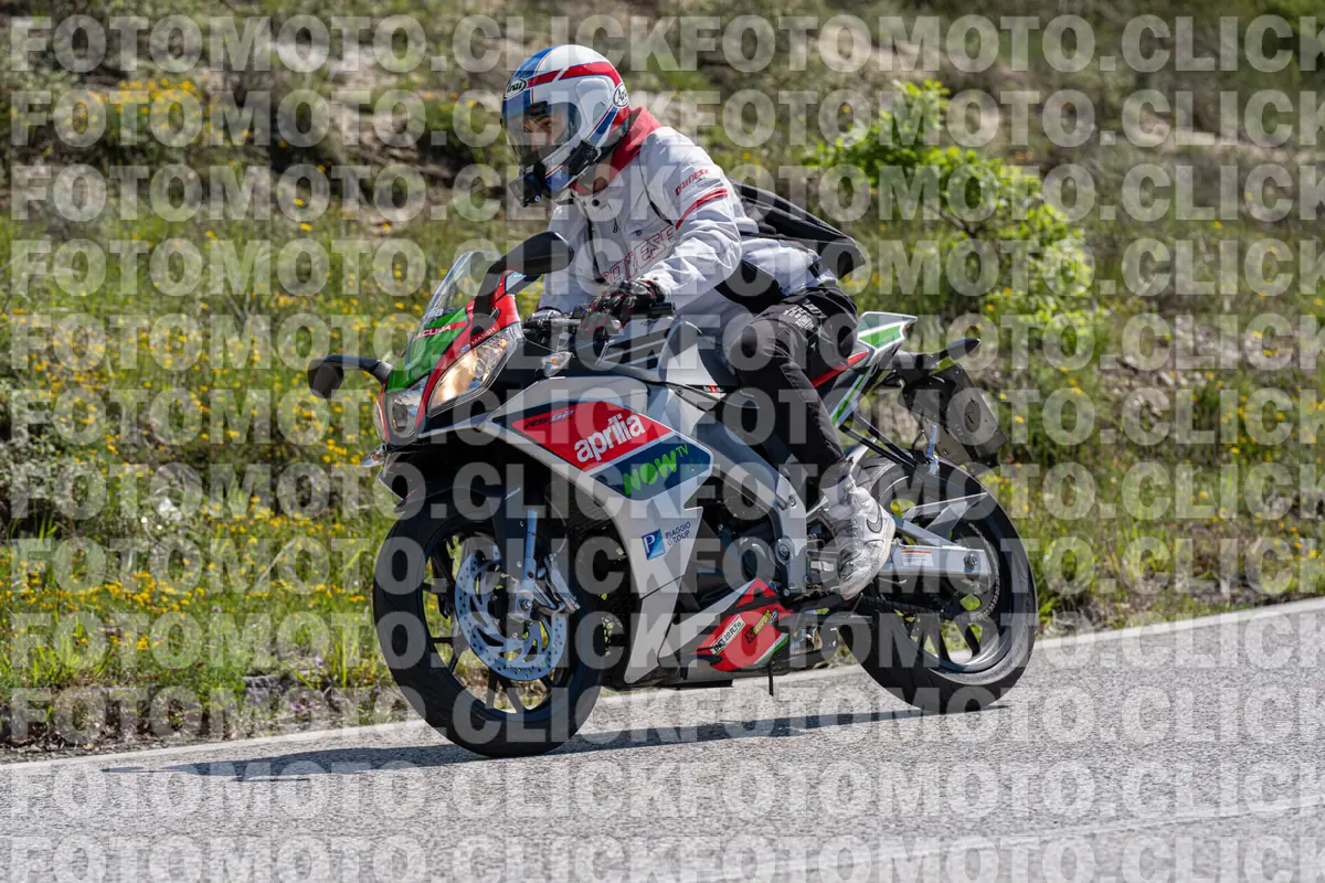 fotomotoclick-bocca-serriola-17-05-2026-440-11-24